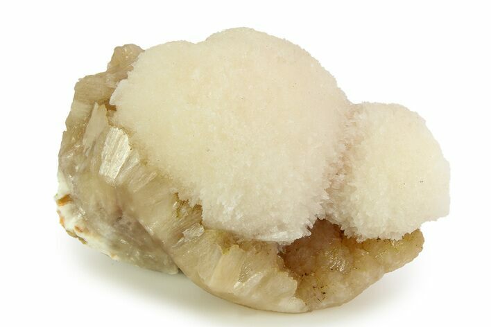 Scolecite Crystals on Honey-Colored Stilbite - India #343046